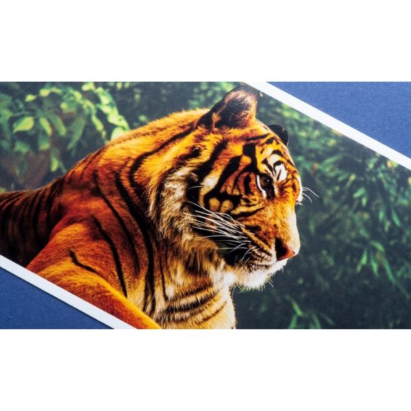 Image_Product_TEC_PPC_Sandon_Sleeves_1200x1200_JPG_02 Image_Product_TEC_PPC_Sandon_Sleeves_1200x1200_JPG_02